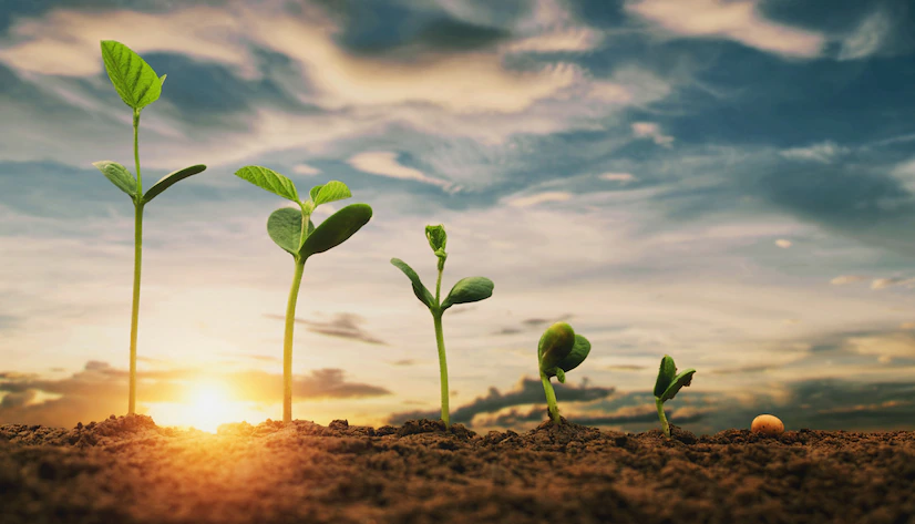 Growth is a characteristic of a living thing and is referred to as progressive development. When we are united in Christ and have the knowledge of the Son of God we will experience Spiritual Growth (Biblical perfection). We will grow to the measure of the stature of the fullness of Christ and unlike Children, we will not be tossed about by every doctrine that comes our way but we will be well-grounded and firm in Christ.